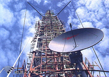 dxman羊年第二波：2月至6月间的26枚QSL