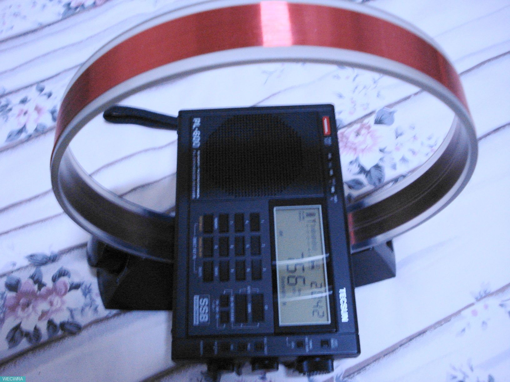 春节烩鲍……an100中波环的使用介绍