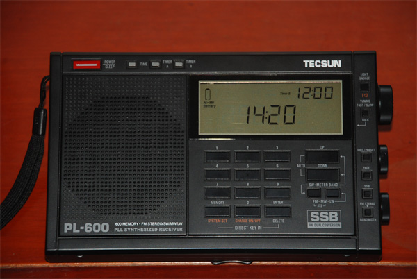 PL-600使用印象初步